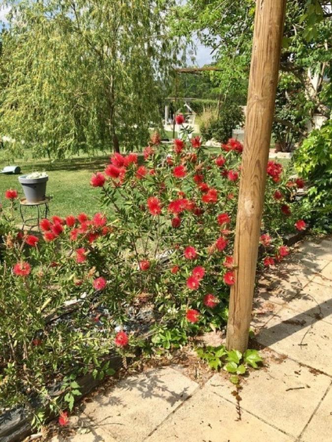 La Vignarelle Bed & Breakfast Callas Exterior photo